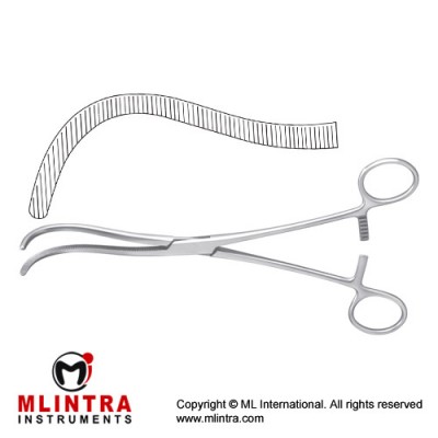 Guyon Kidney Pedicle Clamp Curved Stainless Steel, 24 cm - 9 1/2"